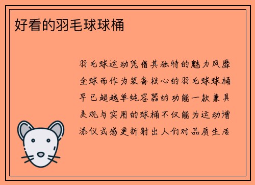 好看的羽毛球球桶