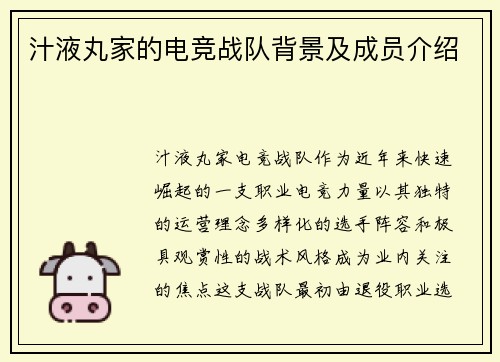 汁液丸家的电竞战队背景及成员介绍
